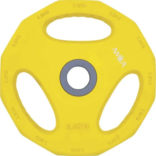 AMILA Pump Rubber Δίσκος Λαστιχένιος 1 x 2.5kg Φ30mm με ΛαβέςΚωδικός: 84516