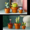 LEGO Botanical Collection Tiny Plants για 18+ Ετών 758τμχΚωδικός: 10329