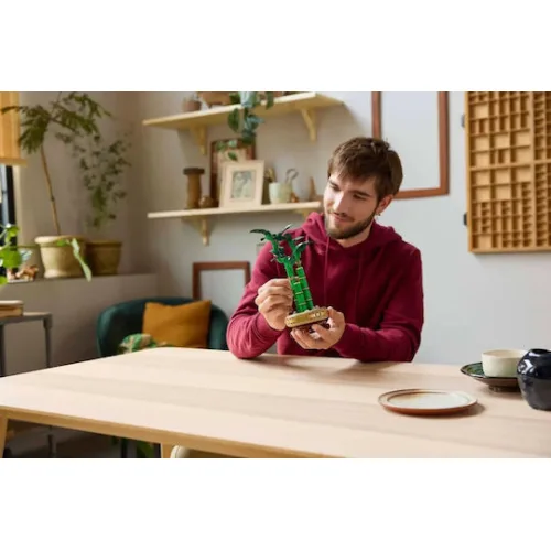 LEGO Botanical Collection Lucky Bamboo για 18+ Ετών 325τμχΚωδικός: 10344