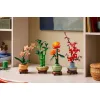LEGO Botanical Collection Lucky Bamboo για 18+ Ετών 325τμχΚωδικός: 10344