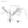 Powertech Βάση Γραφείου για 2 Οθόνες έως 32" με Βραχίονα (PT-1628)