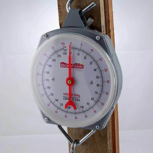 BORMANN DS1100 Ζυγαριά Κρεμαστή Αναλογική 100Kg/100Gr (Εργαστηριακή χρήση)