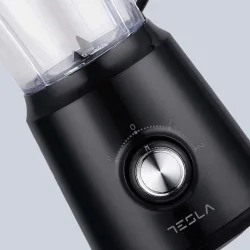 Tesla Μπλέντερ με Πλαστική Κανάτα 1.5 lt 500W Μαύρο BL202B