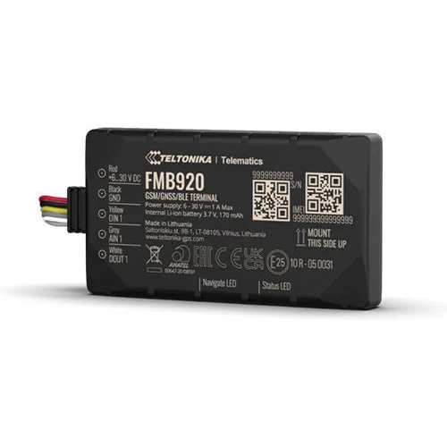 Teltonika FMC234