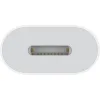 Apple USB-C to Lightning Adapter
