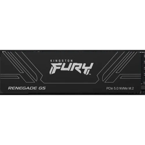 Kingston Renegade G5 1TB NVMe5.0 M.2 2280 14200/11000MB/ (SFYR2S/1T0) (KINSFYR2S-1T0)