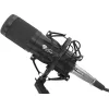 Genesis Gaming Microphone Radium 300 Studio XLR Arm Popfilter (NGM-1695) (GNSNGM-1695)