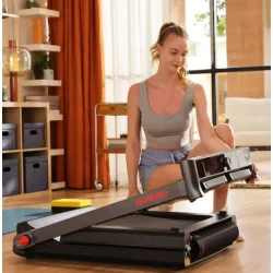 Kingsmith Walking Pad WP Pro 12km