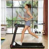 Kingsmith Walking Pad WP Pro 12km