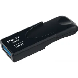 USB 3.1 stick 256GB.