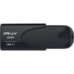 USB 3.1 stick 256GB.