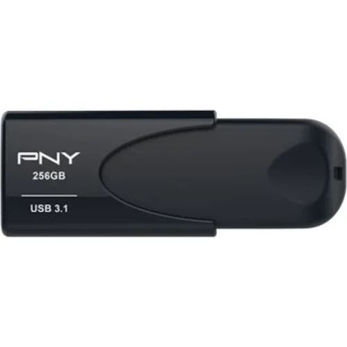 USB 3.1 stick 256GB.
