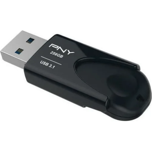 USB 3.1 stick 256GB.
