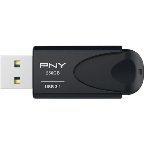 USB 3.1 stick 256GB.