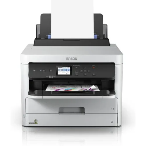 EPSON Ink Black C13T01D100