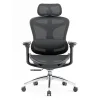 SIHOO ERGONOMIC CHAIR DORO C300 BLACK
