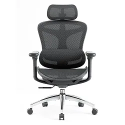 SIHOO ERGONOMIC CHAIR DORO C300 BLACK