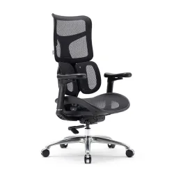 SIHOO ERGONOMIC CHAIR DORO S100 BLACK