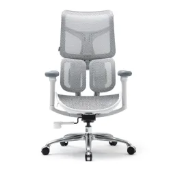 SIHOO ERGONOMIC CHAIR DORO S100 OFF WHITE