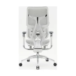 SIHOO ERGONOMIC CHAIR DORO S300 OFF WHITE