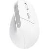 BAYO II ERGONOMIC WIRELESS MOUSE WHT
