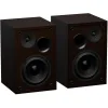 Genesis Gaming Speakers Arsen, 302BT, 2.0 Brown (NGS-2344) (GNSNGS-2344)