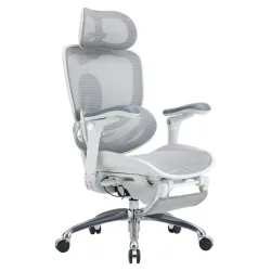 SIHOO ERGONOMIC CHAIR DORO C300 PRO V2 OFF WHITE with Footrest