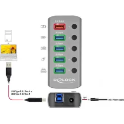 DELOCK USB hub 63262 με διακόπτες, 5x θυρών, 5Gbps, 2.4A, γκρι