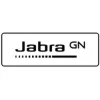 Jabra Evolve 20 Mono MS, USB C/A adapter - PN 4993-823-169