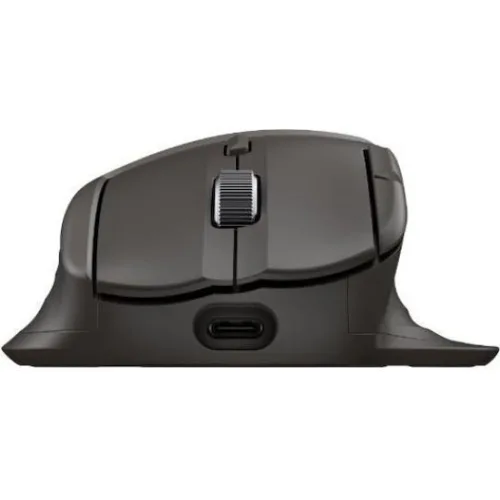 HP Ultra-Fast-Scroll Wireless Mouse 780M B8YX3AA