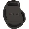 HP Ultra-Fast-Scroll Wireless Mouse 780M B8YX3AA