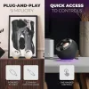 SPEAKERS CREATIVE PEBBLE SE BLACK