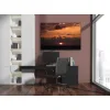 SPECTRA BLACK GREY CLEAR ΓΙΑΛΑΚΙΑ ZOGGS (Διάφανο/Μαύρο)