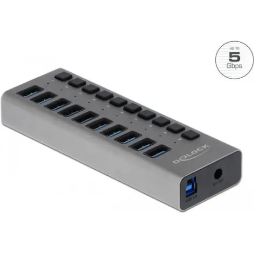 DELOCK USB hub 63670 με διακόπτες, 10x θυρών, 5Gbps, γκρι