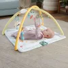 Fisher Price Γυμναστήριο Δραστηριοτήτων για Νεογέννητα