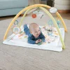 Fisher Price Γυμναστήριο Δραστηριοτήτων για Νεογέννητα