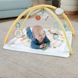 Fisher Price Γυμναστήριο Δραστηριοτήτων για Νεογέννητα