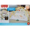 Fisher Price Γυμναστήριο Δραστηριοτήτων για Νεογέννητα