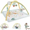 Fisher Price Γυμναστήριο Δραστηριοτήτων για Νεογέννητα