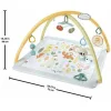 Fisher Price Γυμναστήριο Δραστηριοτήτων για Νεογέννητα