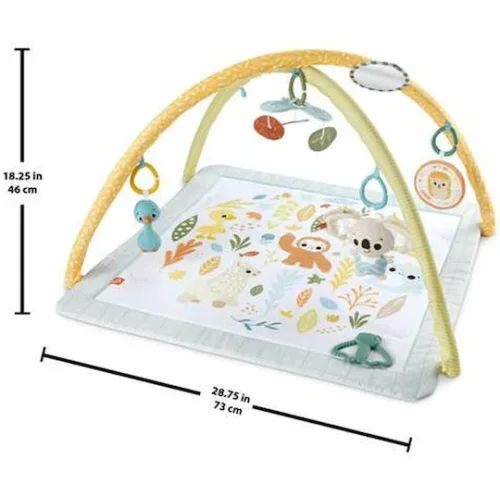 Fisher Price Γυμναστήριο Δραστηριοτήτων για Νεογέννητα
