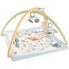 Fisher Price Γυμναστήριο Δραστηριοτήτων για Νεογέννητα
