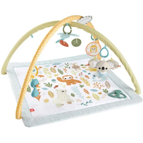Fisher Price Γυμναστήριο Δραστηριοτήτων για Νεογέννητα