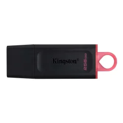 KINGSTON USB FLASH DTX/256GB