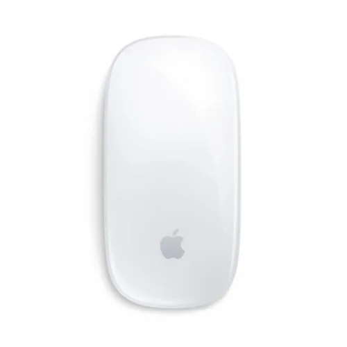 Apple Magic Mouse (2024) Usb-C Silver (MXK53ZM/A) (APPMXK53ZM-A)