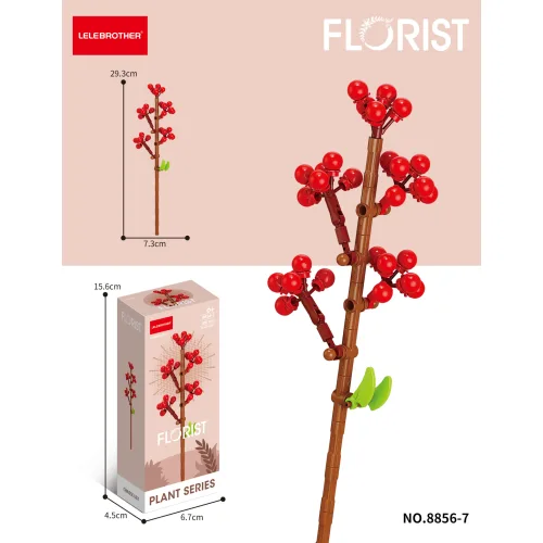 Lelebrother | Florist - Plant Series - Chinese Ilex