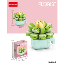 Lelebrother | Florist - Plant Series - Echeveria Glauca