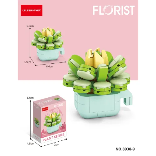 Lelebrother | Florist - Plant Series - Echeveria Glauca