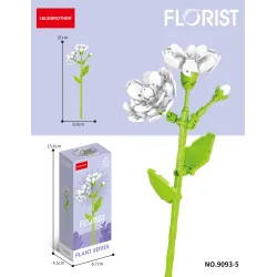 Lelebrother | Florist - Plant Series - Jasminum