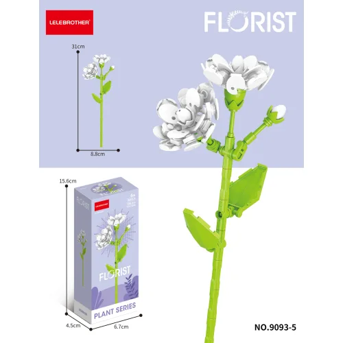 Lelebrother | Florist - Plant Series - Jasminum